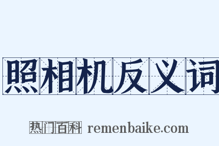 照相机反义词是什么意思的图片